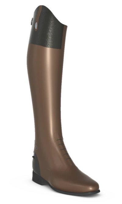 Roma - 3D model